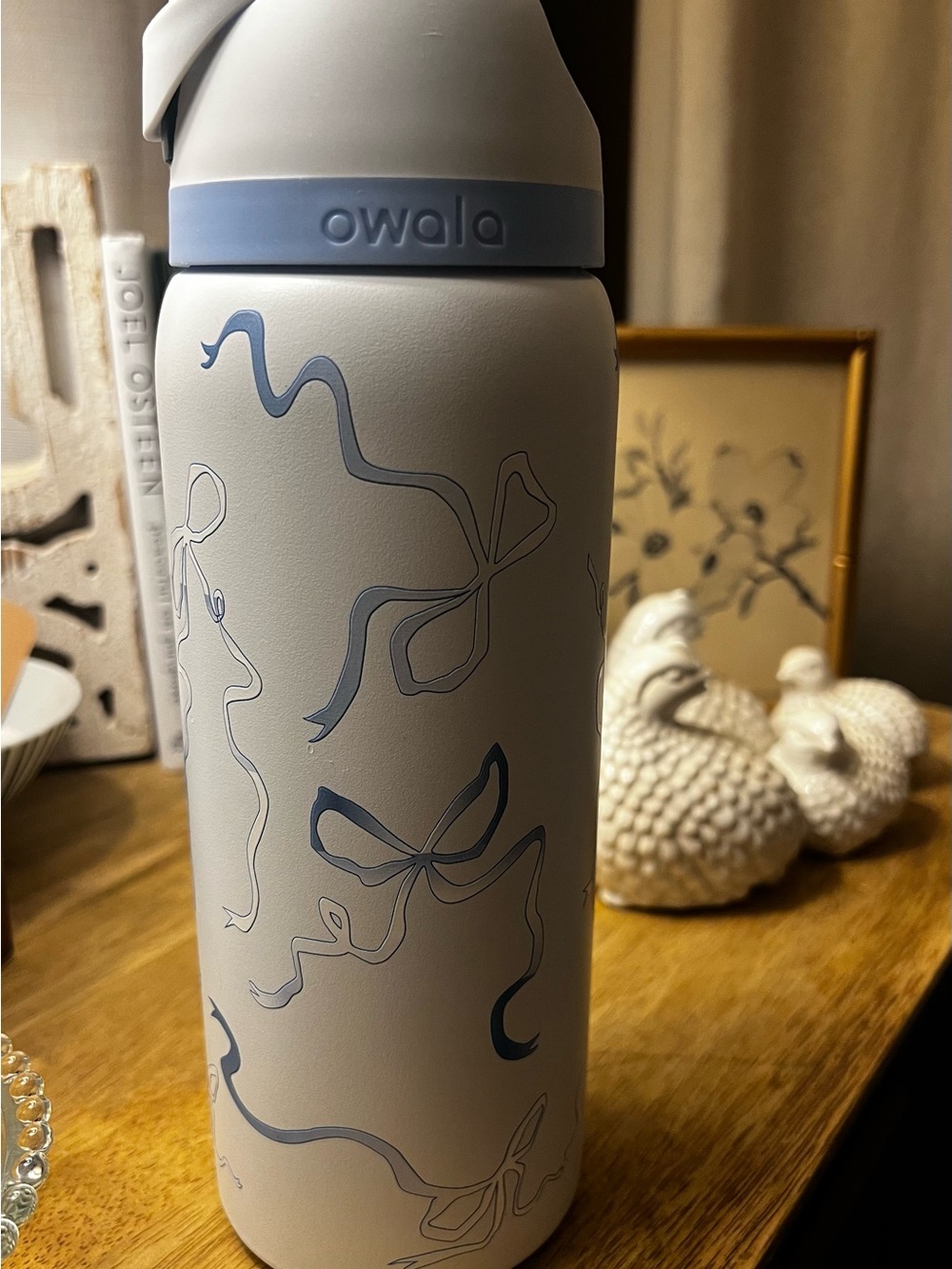Owala Limited Edition UO Exclusive Light Blue Bow Stainless Bottle